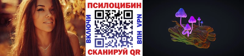 darknet официальный сайт Асино Галлюциногенные грибы Magic Shrooms
