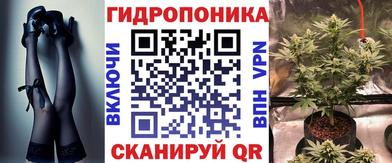 Шишки марихуана Amnesia  блэк спрут рабочий сайт  Асино 